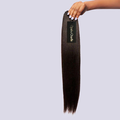 Silk Press Straight Hair Tape-In Extensions